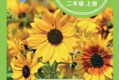 小学二年级上册科学青岛版电子课本｜全册目录·课文详解