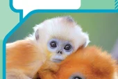 人教版生物学八年级下册电子课本｜全册目录+页码对照
