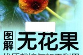 《图解无花果优质栽培与加工利用》pdf电子版电子书资源下载