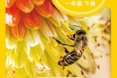 科学一年级下册（青岛版·五·四学制）电子课本｜2022年版课标修订新版·全册目录