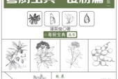 粤厨宝典：食材篇 epub电子版电子书网盘资源下载