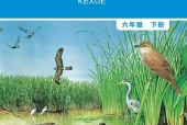 教科版六年级下册科学电子课本｜4个单元28课全册目录