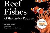 《A Field Guide to Tropical Reef Fishes of the Indo-Pacific》pdf epub电子版资源下载
