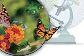 苏教版生物学七年级上册电子课本（初中）｜全册6单元目录
