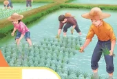 培智学校生活语文八年级下册电子课本｜全册目录+页码对照