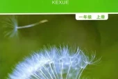 教科版小学科学一年级上册电子课本教材(义务教育教科书)
