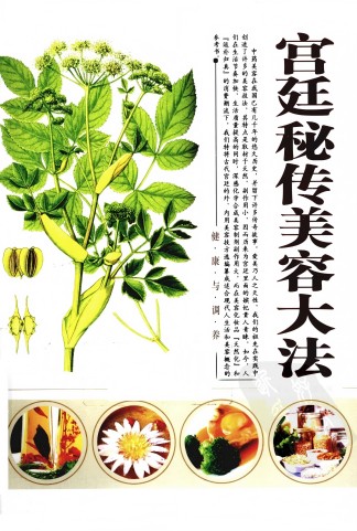 《宫廷秘传美容大法》pdf电子书百度网盘资源下载  第1张