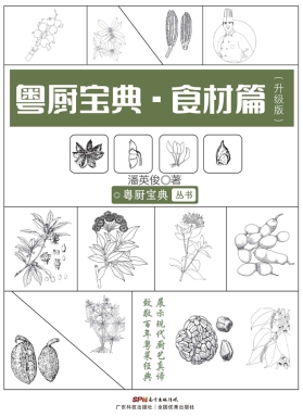 粤厨宝典：食材篇 epub电子版电子书网盘资源下载  第1张