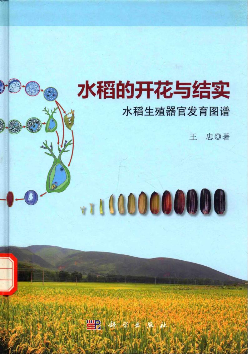 《水稻的开花与结实水稻生殖器官发育图谱》 王忠pdf电子版电子书百度网盘资源下载 第1张 《水稻的开花与结实水稻生殖器官发育图谱》 王忠pdf电子版电子书百度网盘资源下载 第1张