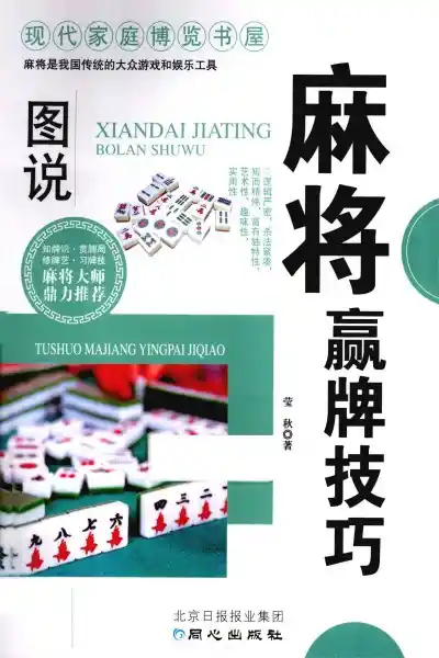《图说麻将赢牌技巧》pdf电子书下载  第1张